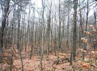 0 Ziegler Rd #2, Boonville, NY 13309