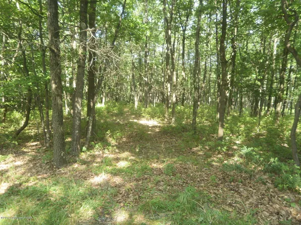 24 Stone Ridge Rd, Albrightsville, PA 18210