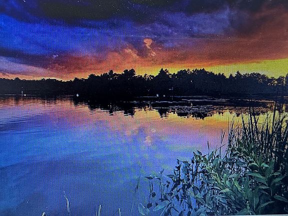 Picture at The Reservoir