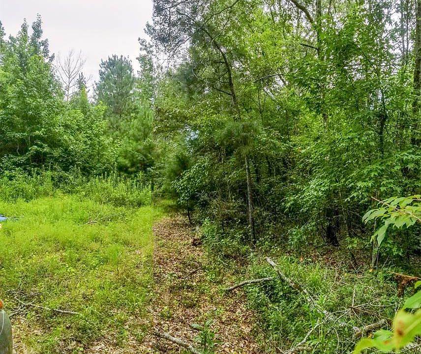 1st image of 255 County Road 506