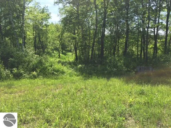 10625 20th Ave, Remus, MI 49340