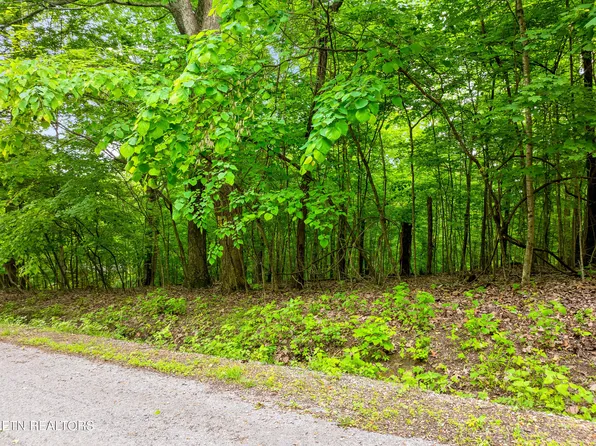 Running Deer Trl, Caryville, TN 37714