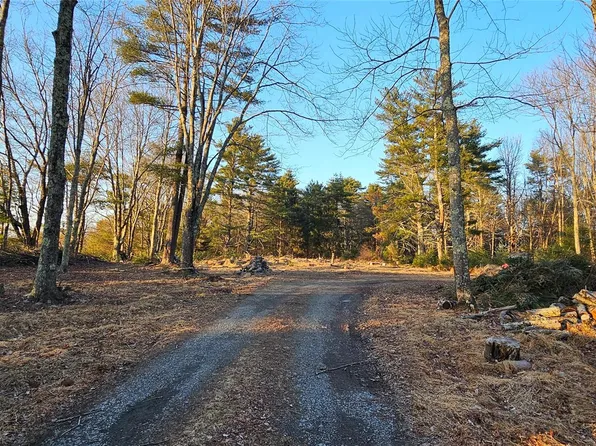 16.1 Beaverbrook Road, Narrowsburg, NY 12764