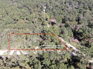 130 NE Cassia Dr, Lee, FL 32059