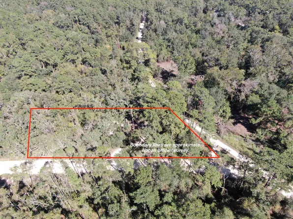 130 NE Cassia Dr, Lee, FL 32059