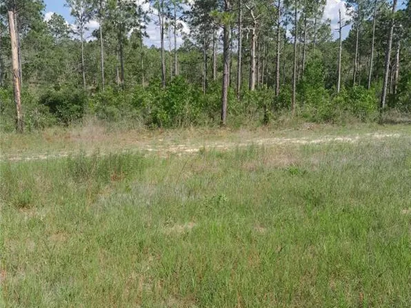 121 State Rd, Morriston, FL 32668