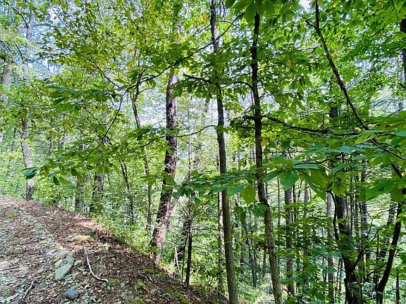 2nd image of 18 Meadow View Rd Lot 18