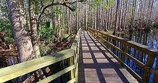 4th image of 3330 Forrest Ridge Avenue