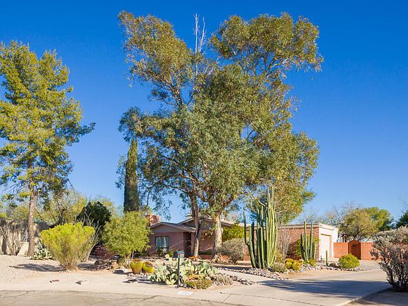 3rd image of 7642 E Calle Cabo