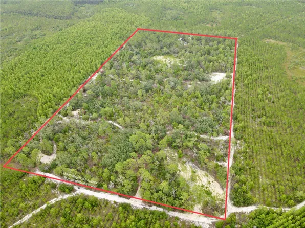 3386 Fish Creek Rd, Perry, FL 32348