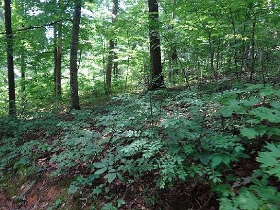 front hill, south facing