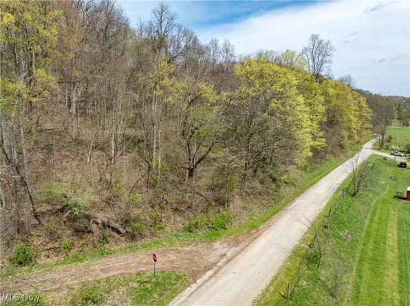 34108 Edwina Rd, Lewisville, OH 43754