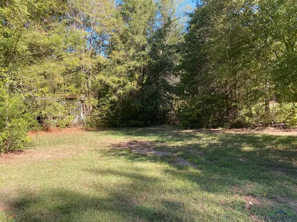 638 Pony Ln, Hallsville, TX 75650