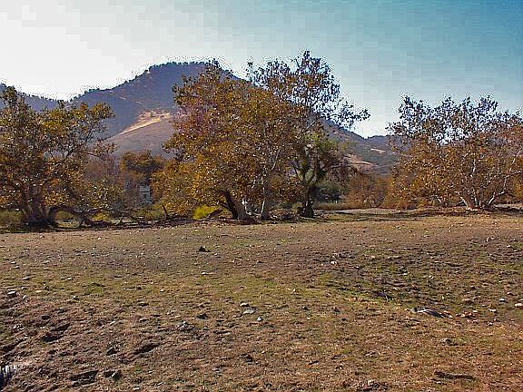 3rd image of Live Oak Drive Lot 333