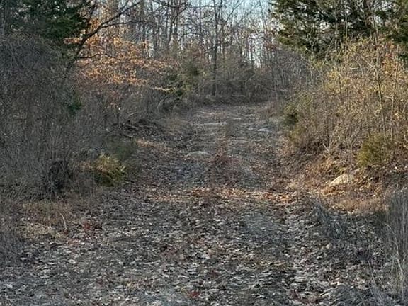 3rd image of 0 Stringtown Rd