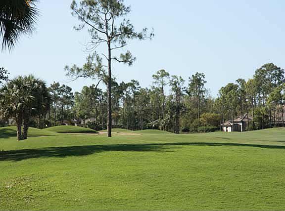 Golf Course View