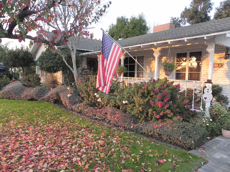 Fall in the Wood Streets