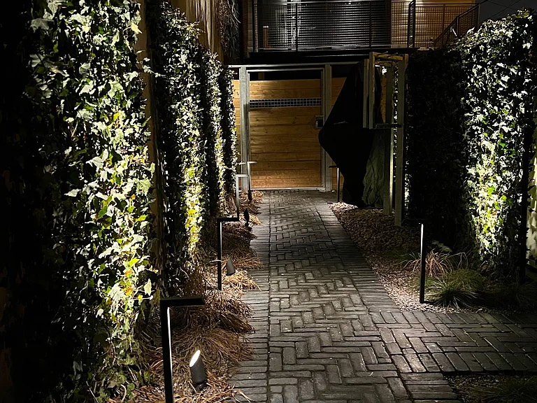 60 Winchester St #LANEWAY — Photo 5