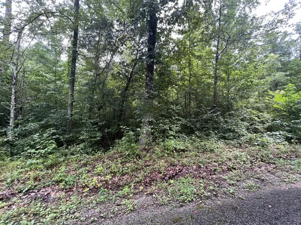 0 Sand Ridge Ln #9, Huron, TN 38345