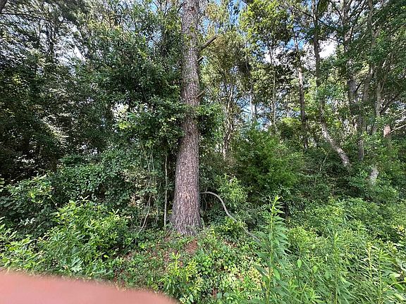 3rd image of B2 Duval Dr