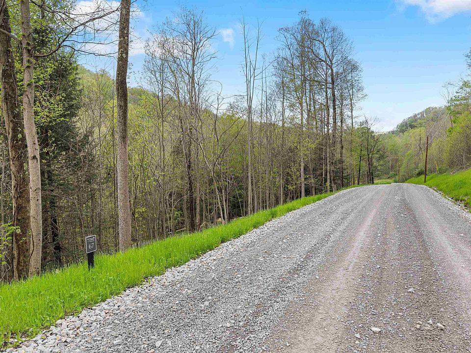 67 Whitewater Preserve Pkwy, Bruceton Mills, WV 26525 MLS 10153360