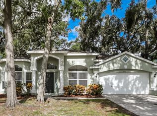 3727 Cold Creek Dr, Valrico, FL 33596