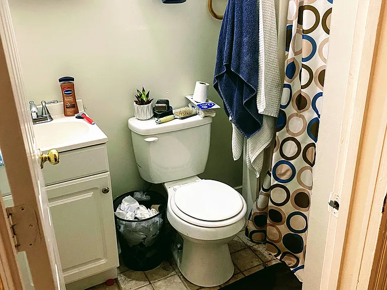 Back bathroom