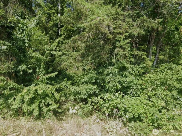 31 NE Burt Court, Belfair, WA 98528