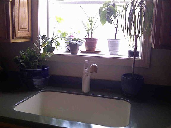 Garden Window w/plants