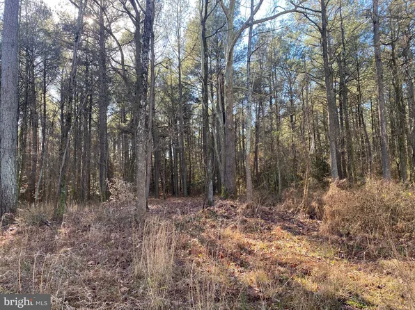 0 Petes Hill Rd, Princess Anne, MD 21853