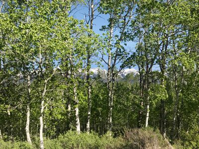 2635 Trader Rd, Jackson, WY, 83001