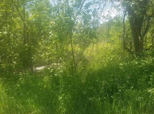 S Payne Lake Rd, Wayland, MI 49348