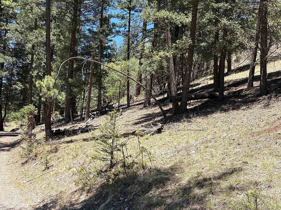 2nd image of 50 Enchanted Forest Ln