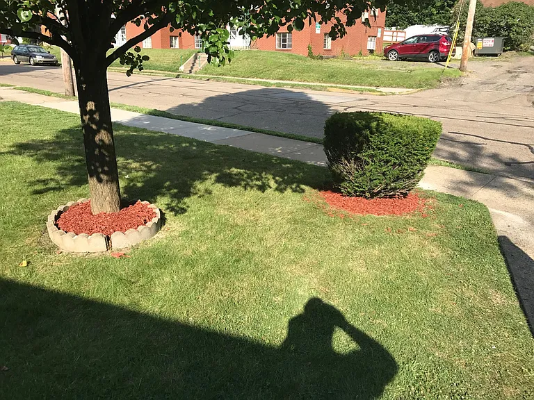 Front yard