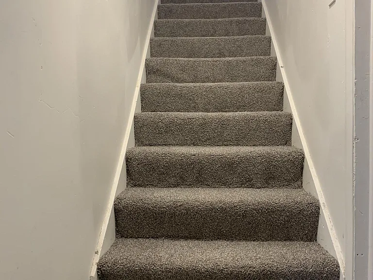 Stairs leading upstairs from basement (new carpet)