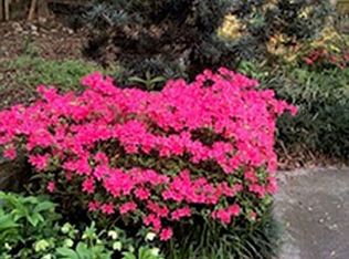 139 Hilldale Dr, Decatur, GA 30030