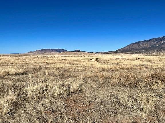 3rd image of 213 Indigo Loop