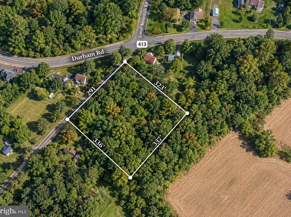 4575 Lower Mountain Rd, Furlong, PA 18925