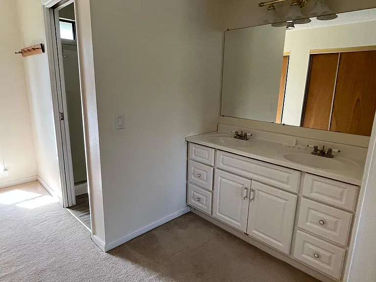 Primary vanity and bathroom