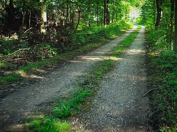 3rd image of Township Road 2156
