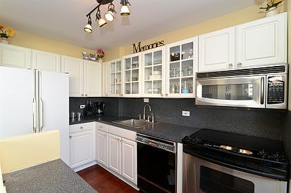 4th image of 1355 N Sandburg Ter APT 808