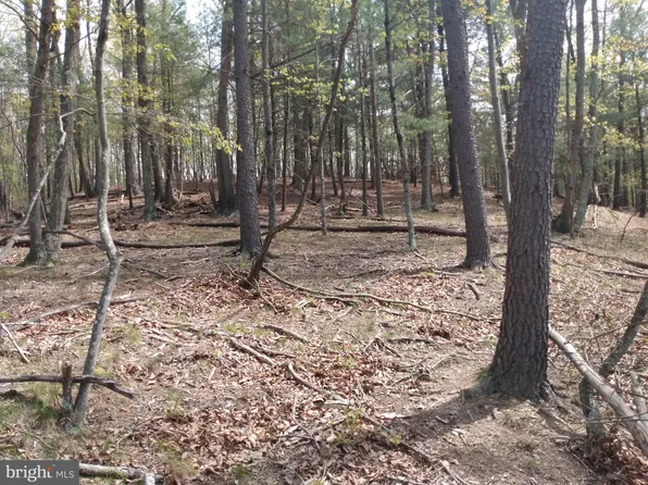 10 Cannon Dr, Berkeley Springs, WV 25411