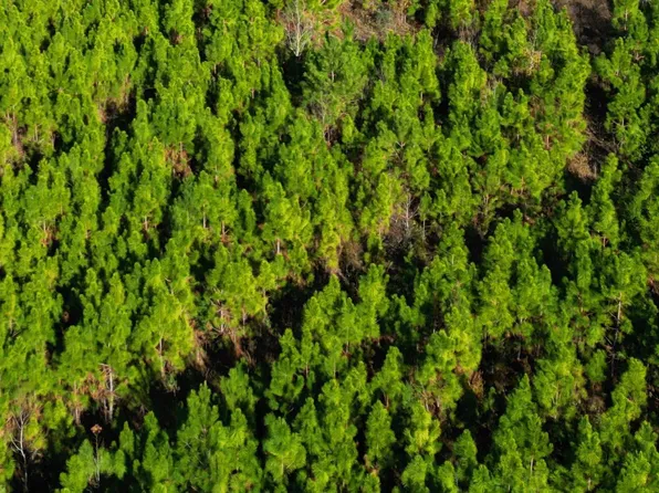 Willow Bnd NW, Altha, FL 32421