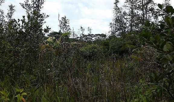 5th image of 34th Ave Lot 71