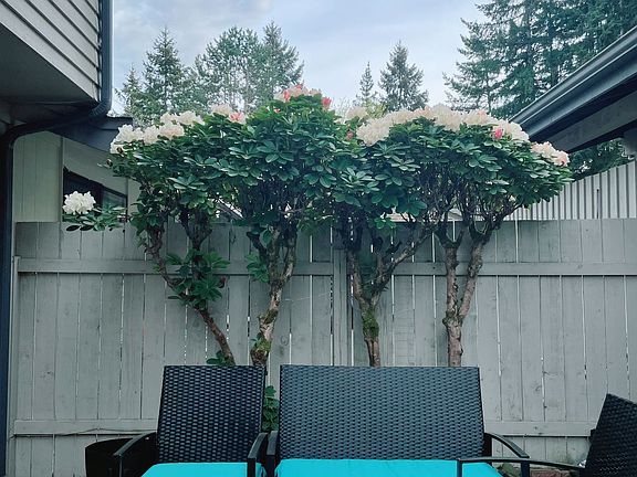 5th image of 17050 Northup Way