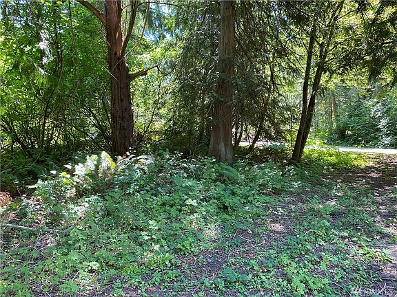 3rd image of 18528 Surcingle Ct SE