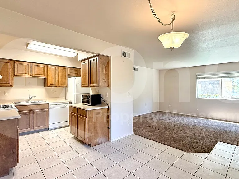 303 N Miller Rd #1005 — Photo 6