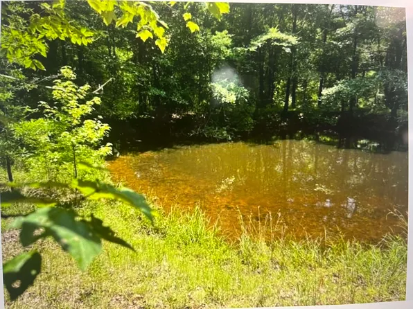 196 Boyd Ln, Stanton, TN 38069