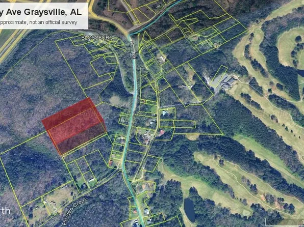 4296 Cherry Ave, Graysville, AL 35073