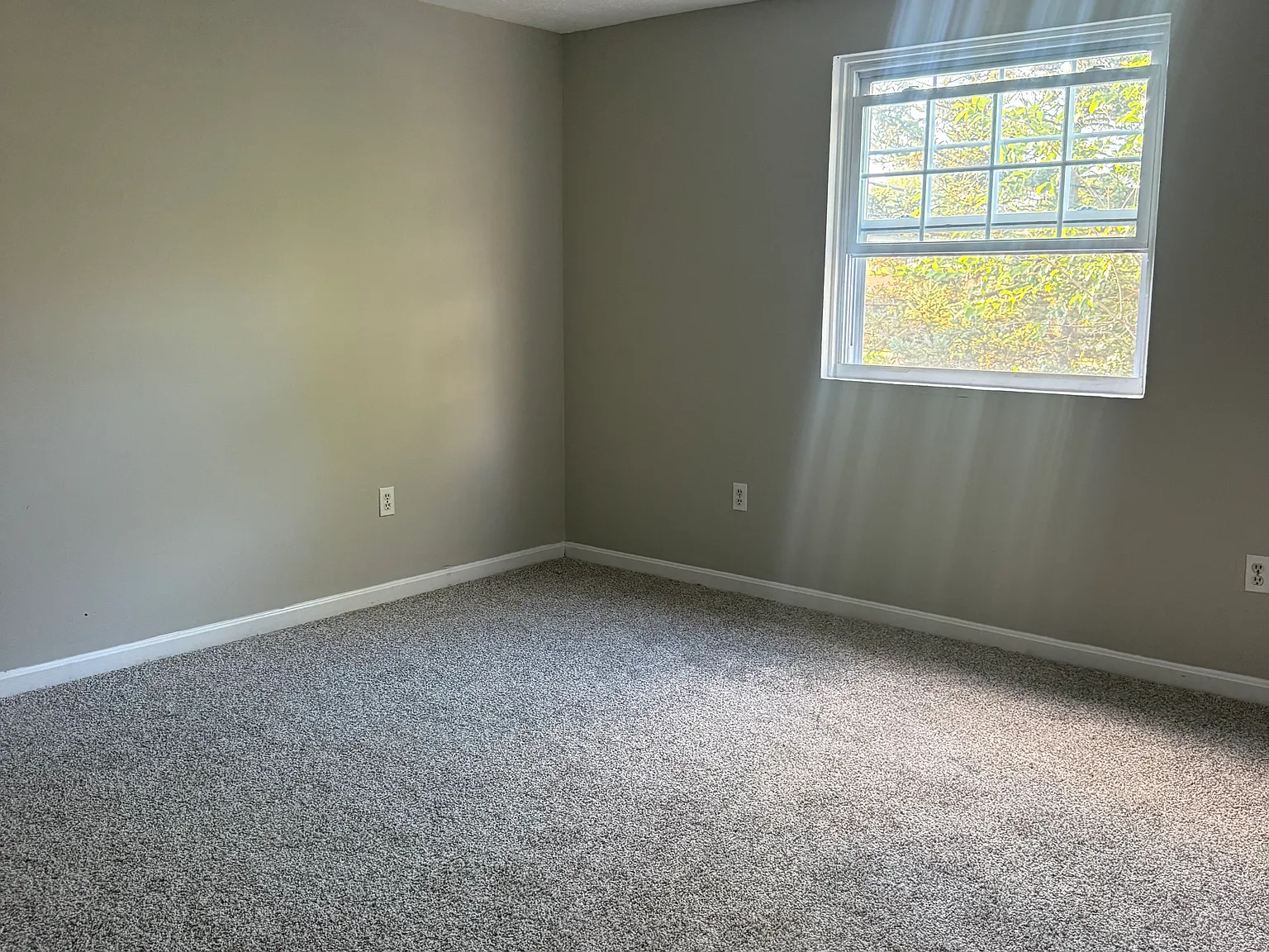 2 bed, $2,000 — Photo 3
